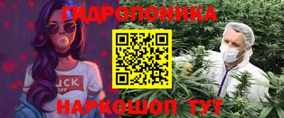 дмт Новодвинск