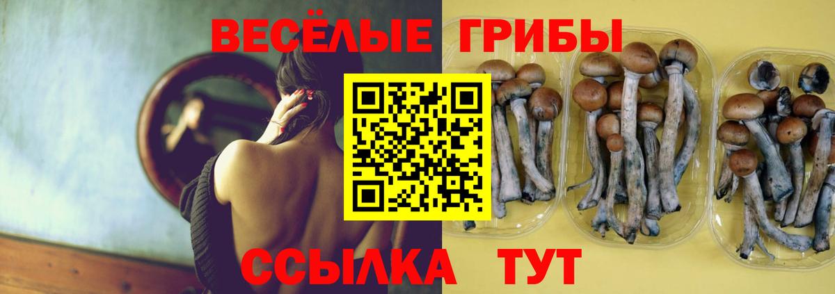 Галлюциногенные грибы Cubensis  что такое   Сертолово  Галлюциногенные грибы Magic Shrooms  Вход с VPN 